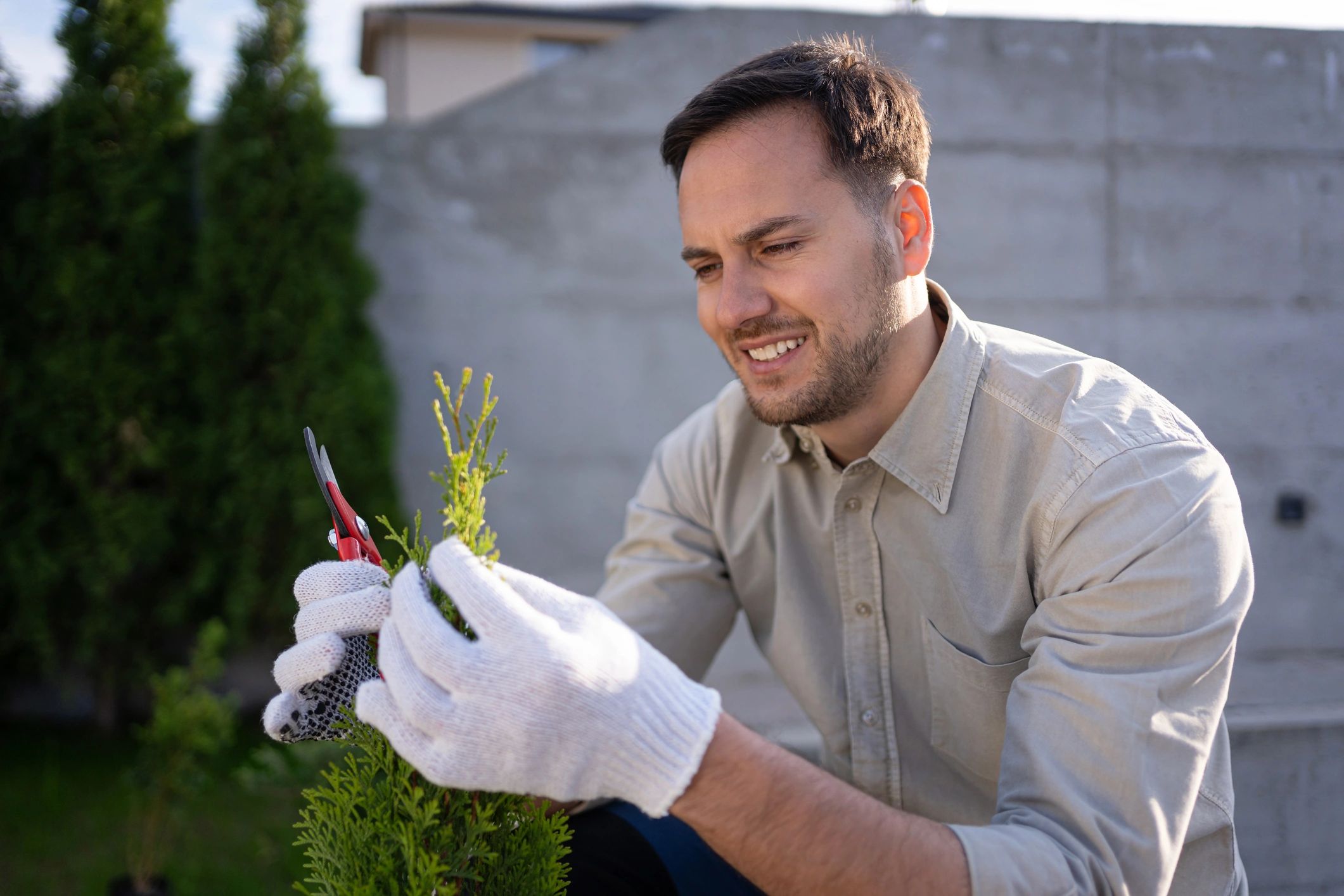 Gardener trimming a shrub with hedge clippers