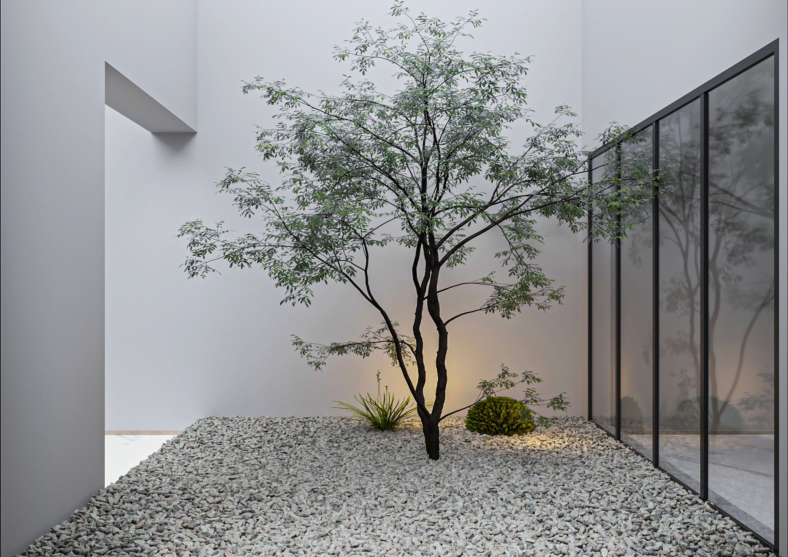 Minimalist courtyard with tree and gravel garden