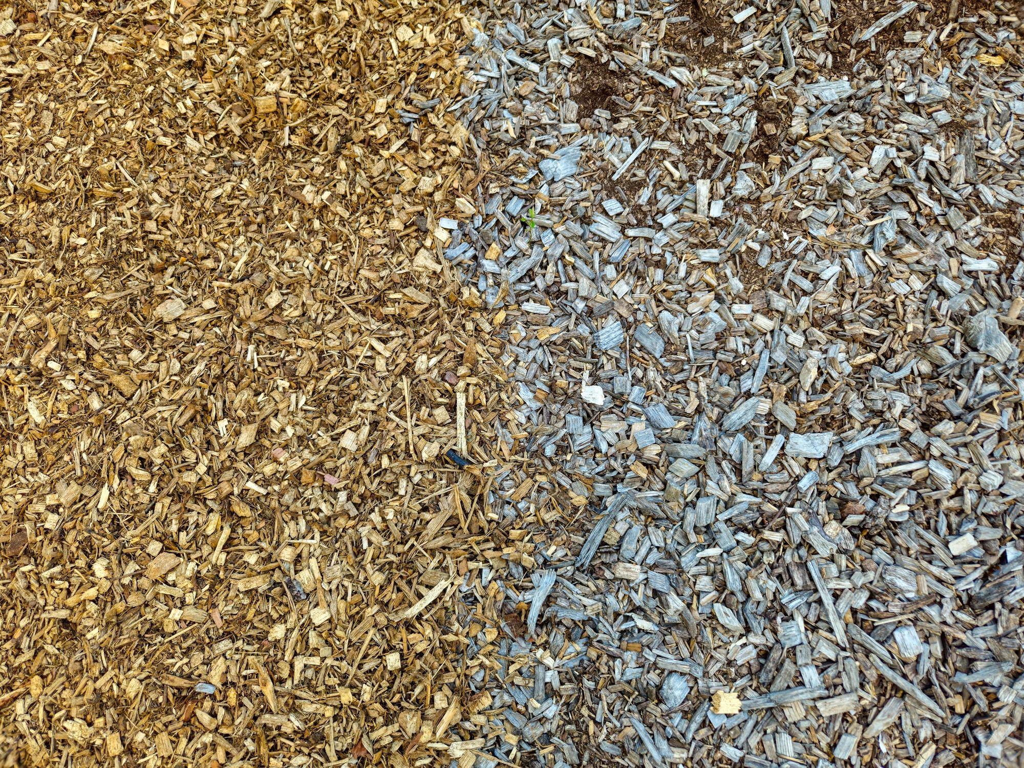 Fresh mulch in a landscaped bed