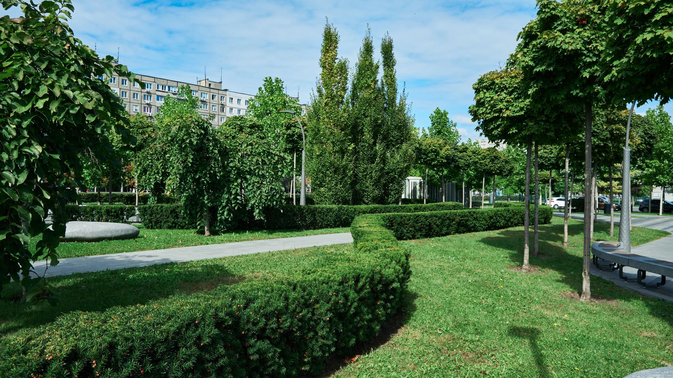 Manicured park path with trimmed hedges and trees