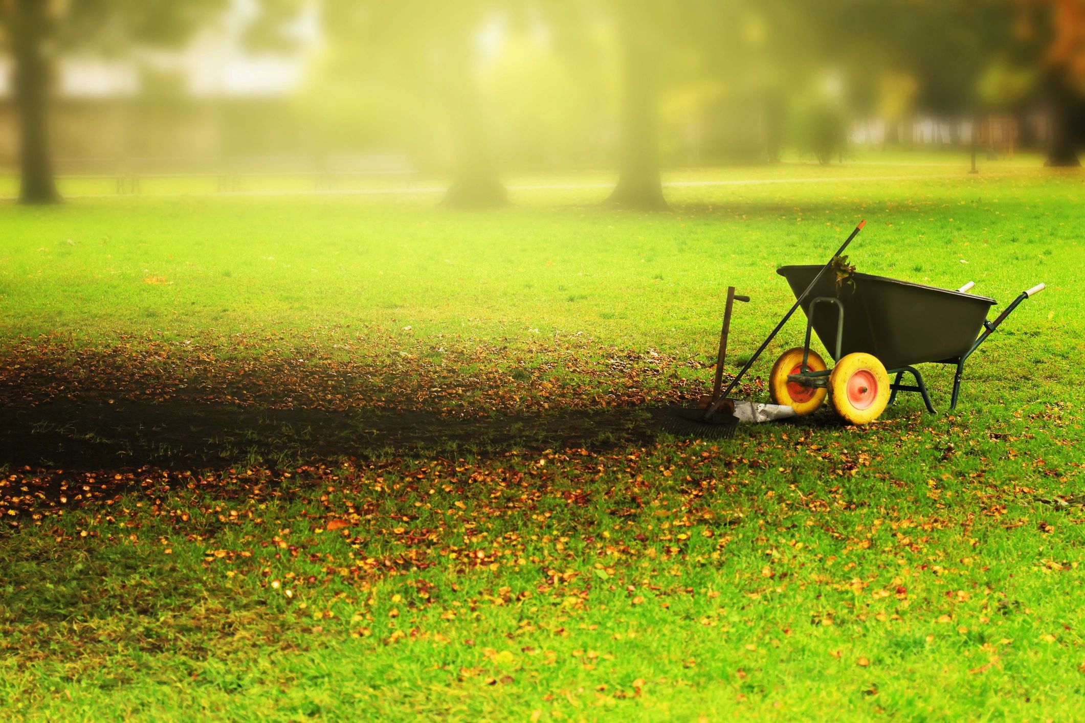 Rake and gardening tools collecting fallen leaves for autumn cleanup