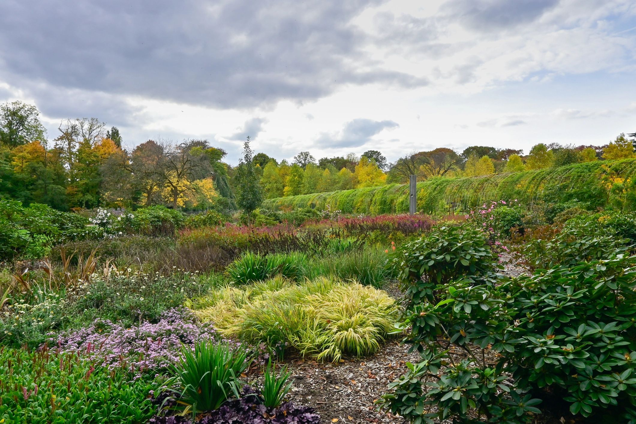 Botanical garden landscape with trees and paths