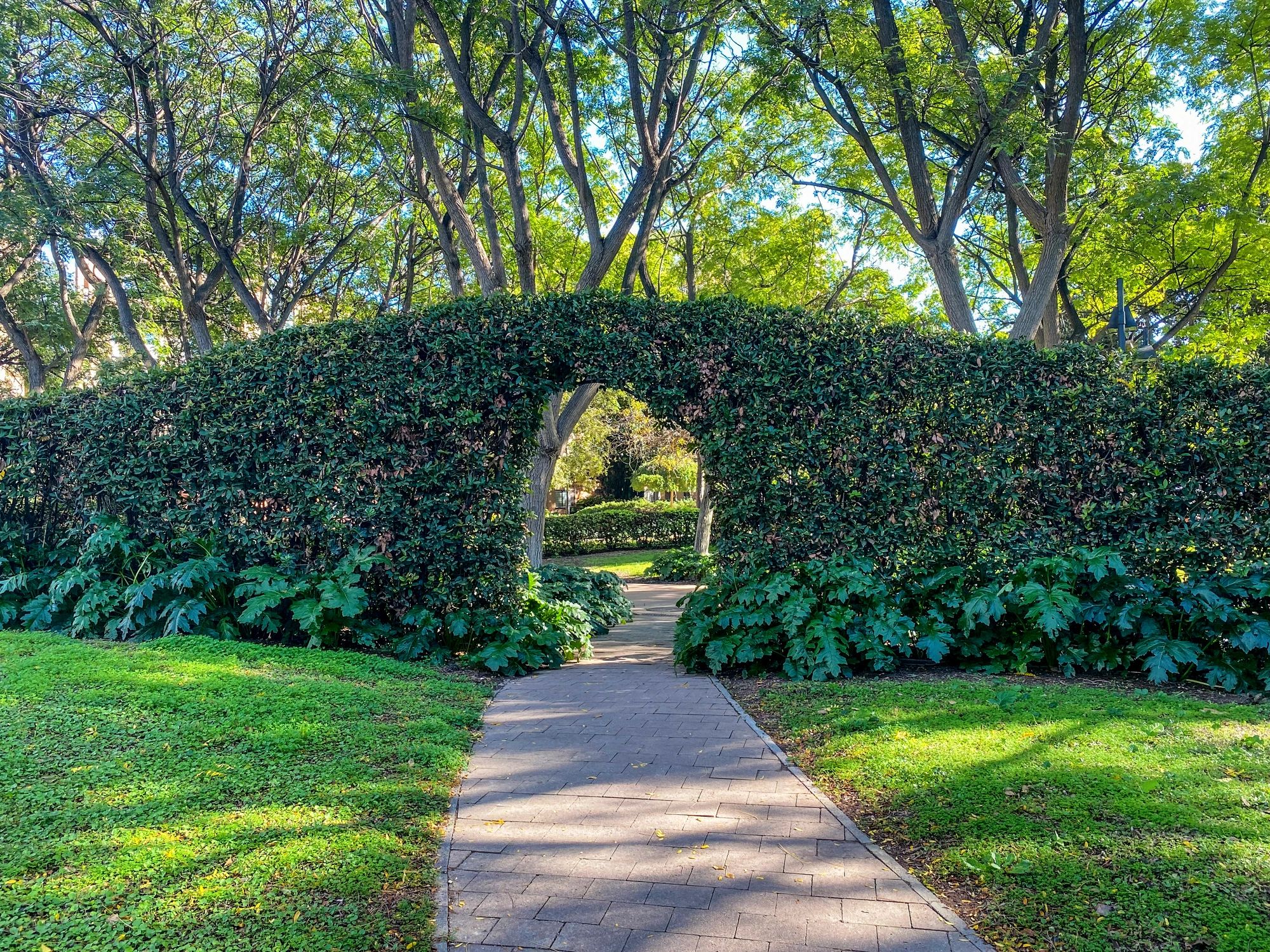 Garden pathway with lush plantings